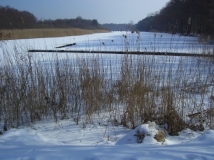 Prerowstrom in der kalten Jahreszeit