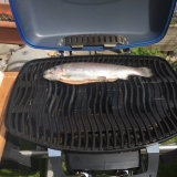 Napoleon TravelQ 285X 5