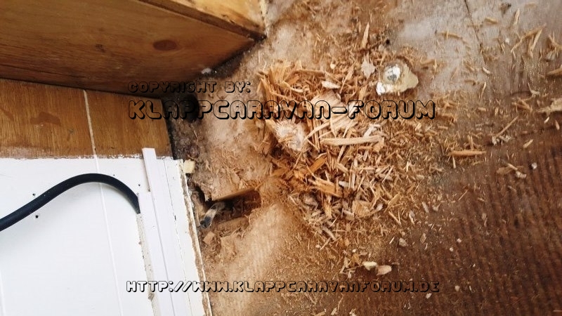 Paradiso 345 VI Umbau