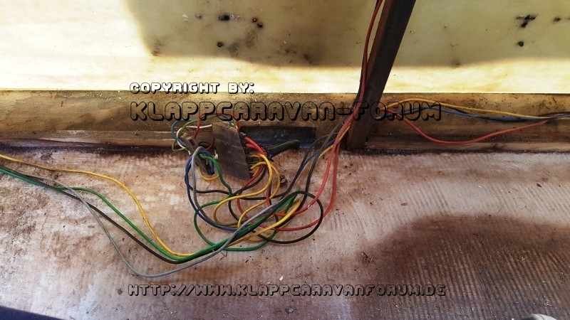 Elektrik Paradiso -.-