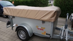 Dingo Tec und Küche