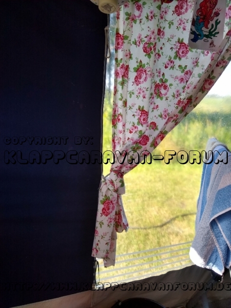 IMG_20200716_084105358_HDR_resize_99