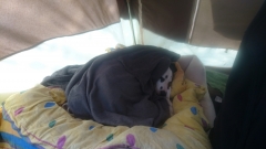 Hund bei 8°C mit Regen *gg*