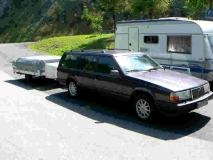 Unser Elch mit unserm Falter