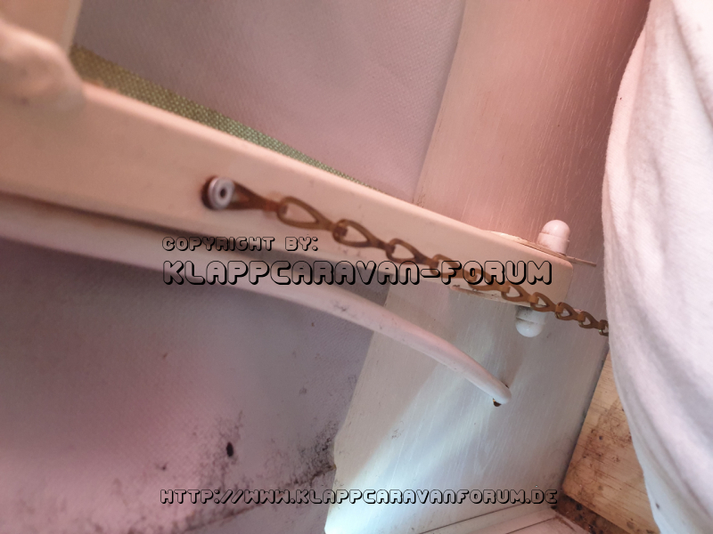 Paradiso Klappschaniere