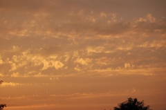 Dransfeld 2009 - Abendlicher Himmel über Dransfeld