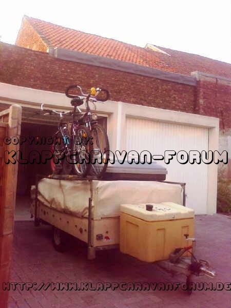 Kingway Christal von Stefantom startklar