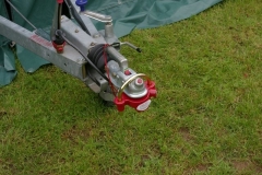 Unser Chantilly 2003 beim Erstaufbau im Garten