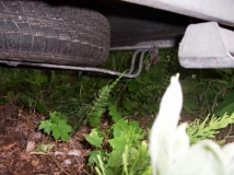 Reserverad unter Esterel CC 29 -1-