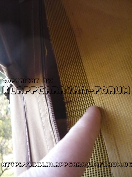 Fliegengitter gerissen