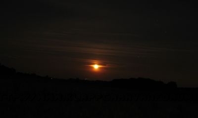 Camping 't Veerhuys 2010