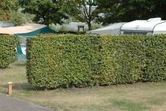 Camping du Parc – La Mailleraye-sur-Seine – Seine im Hintergrund