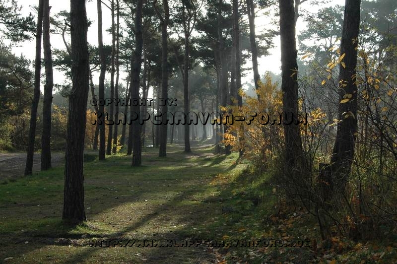 Dünencamp Karlshagen Usedom - Stellplätze an der Stranddüne