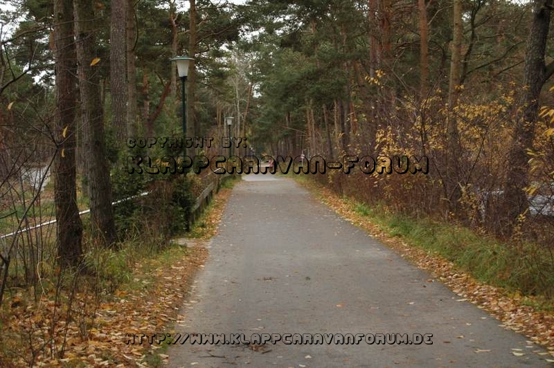 Dünencamp Karlshagen Usedom - Weg auf der mittleren Düne