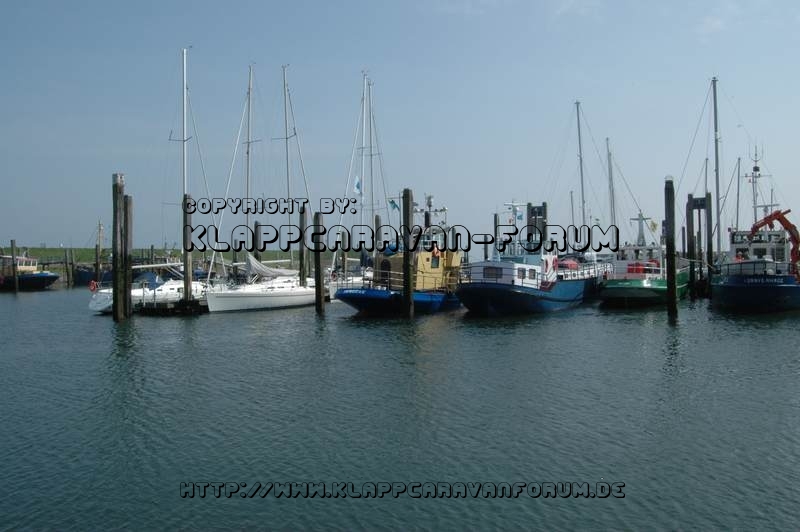 Rundfahrt von Yerseke aus auf der Oosterschelde - 1
