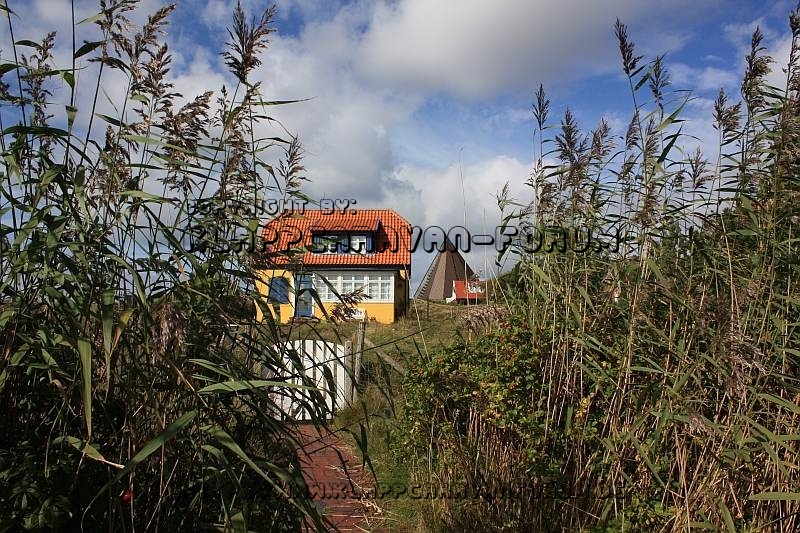 Heide-Bärs Rätselbild