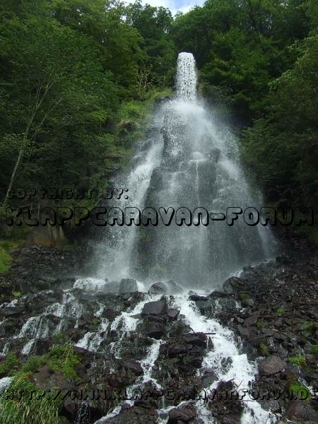 Rätselbild - Mammut