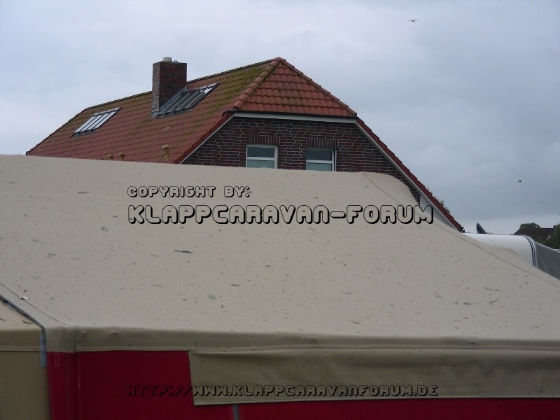 ein grünes Dach nach dem Sturm in Neuharlinersiel 2011