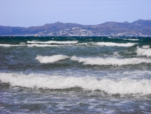 La Ballena Alegre