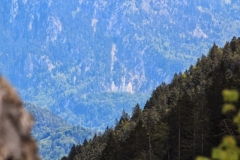 Camping Schneider Pfronten