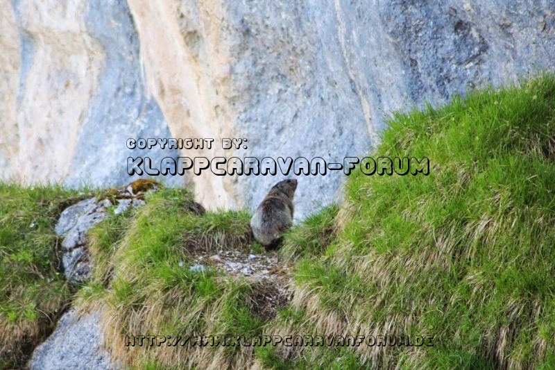 Camping Schneider Pfronten