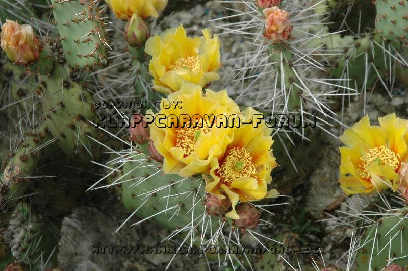 Kalenderbild 2014 (43)