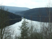 Rätselbild - Mammut