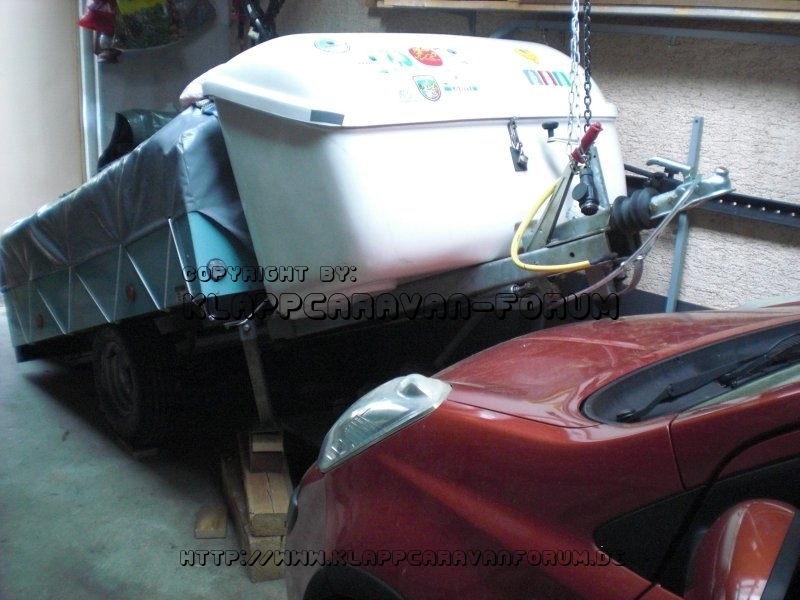 Trigano Gelbfüssler 4