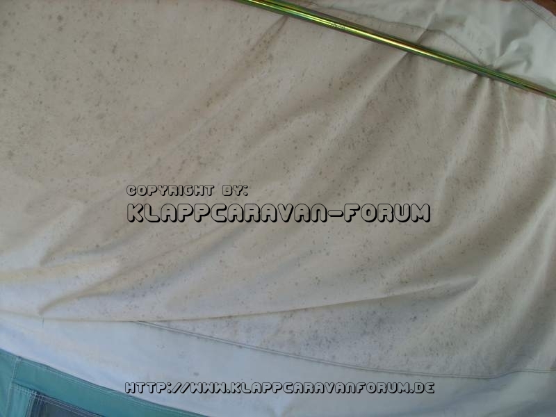 heidewint - Stockflecken- 1